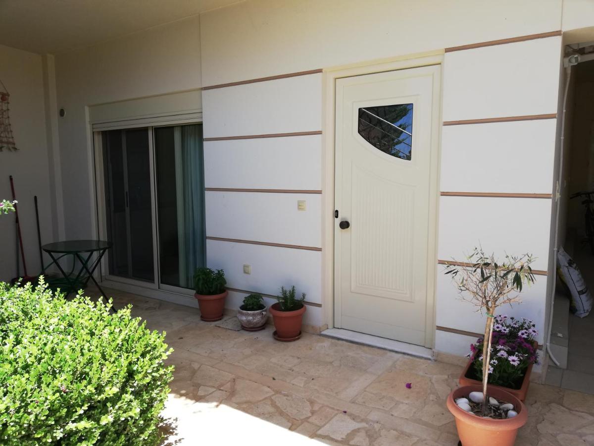 Agia Marina  Althea Holiday Studio מראה חיצוני תמונה